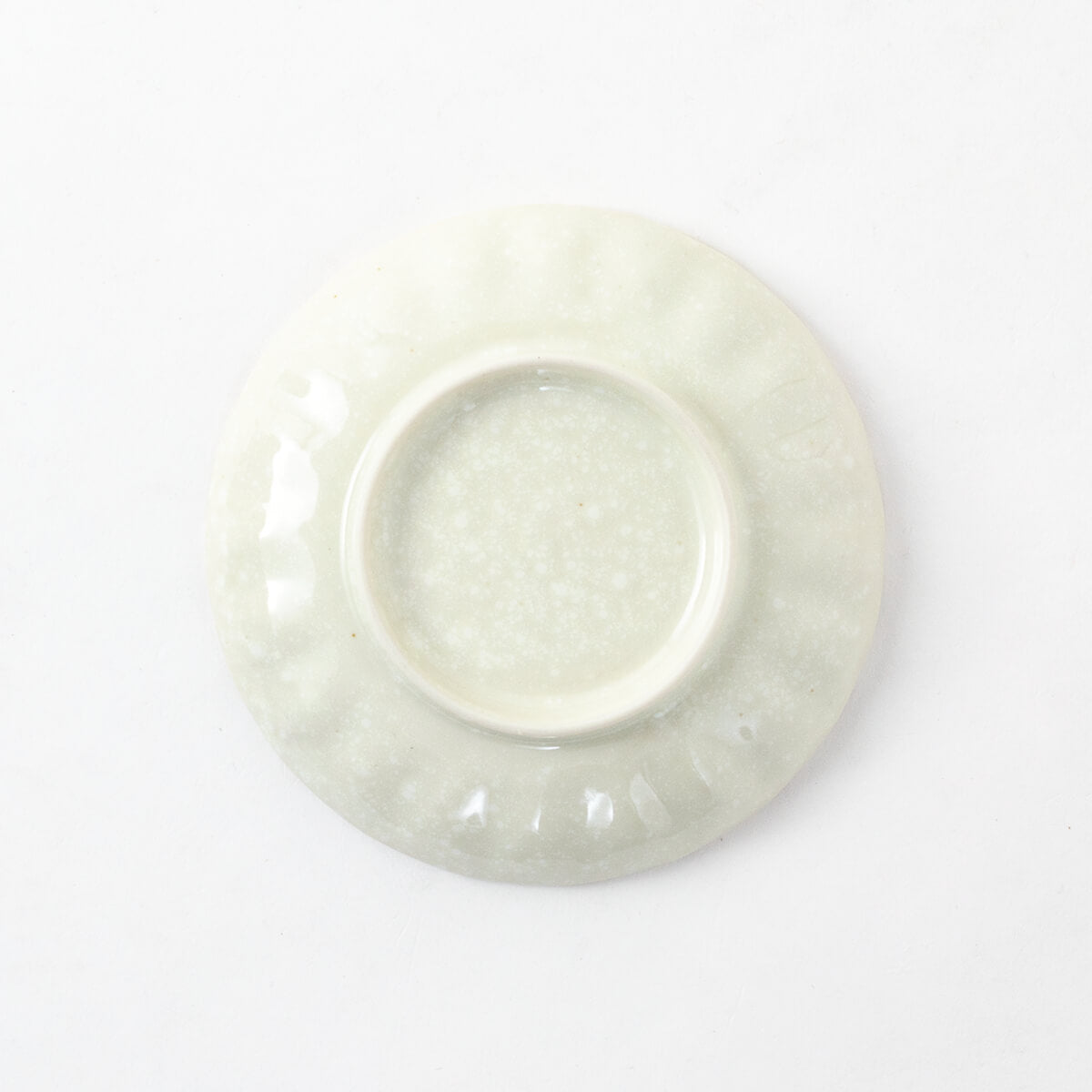 菊十草(白) 35皿
