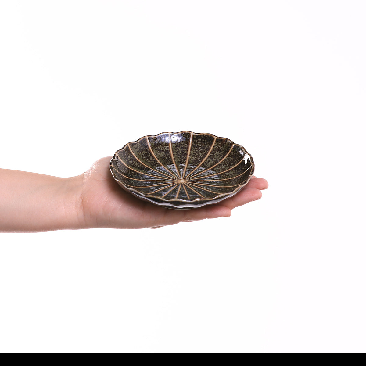 菊十草 35皿(白/青/緑/黒)