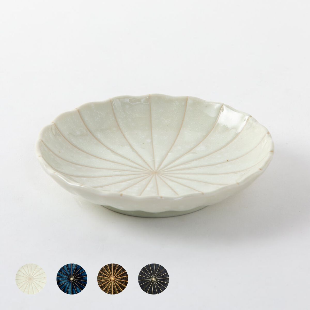 菊十草 50皿(白/青/緑/黒)