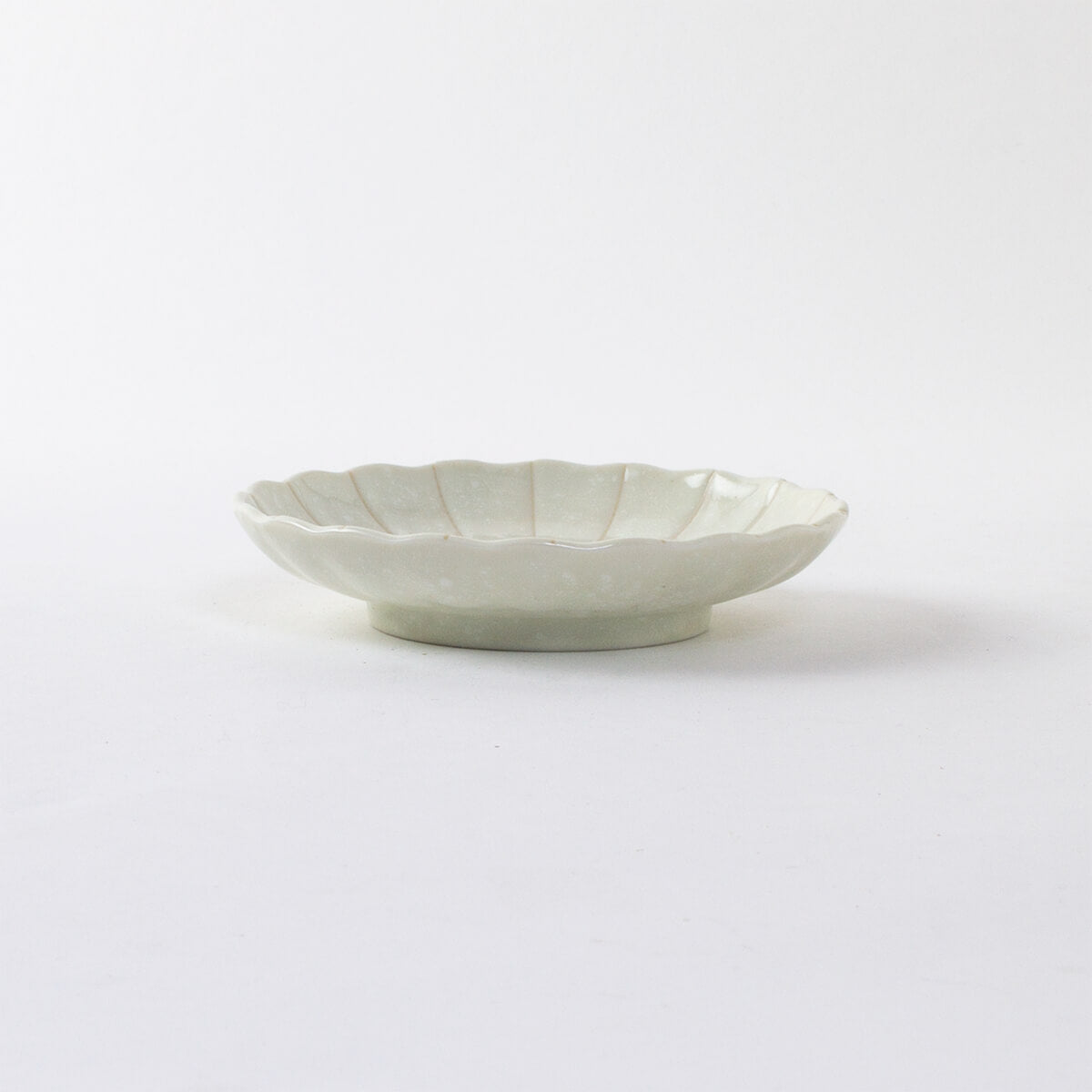 菊十草 75皿(白/青/緑/黒)