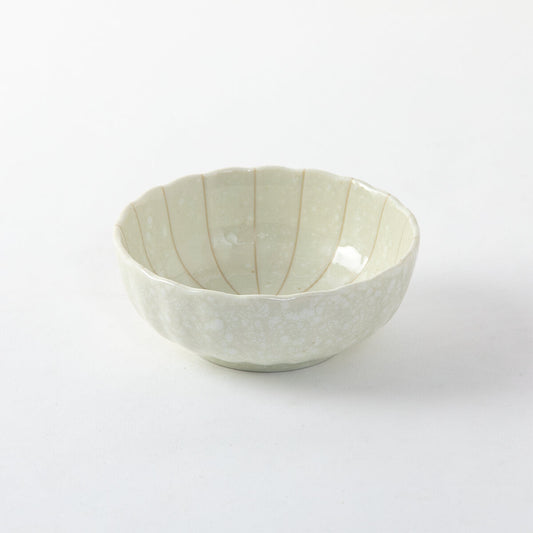 菊十草 45鉢(白/青/緑/黒)