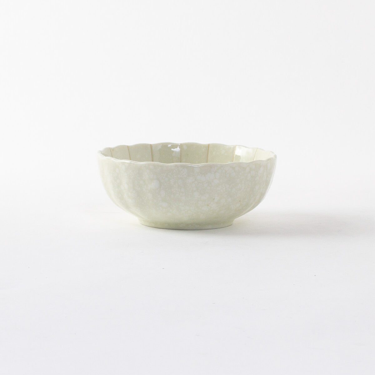 菊十草 45鉢(白/青/緑/黒)