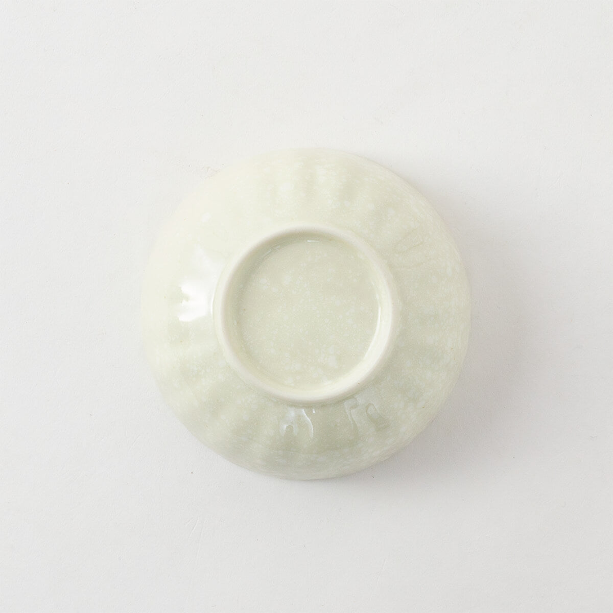 菊十草 45鉢(白/青/緑/黒)