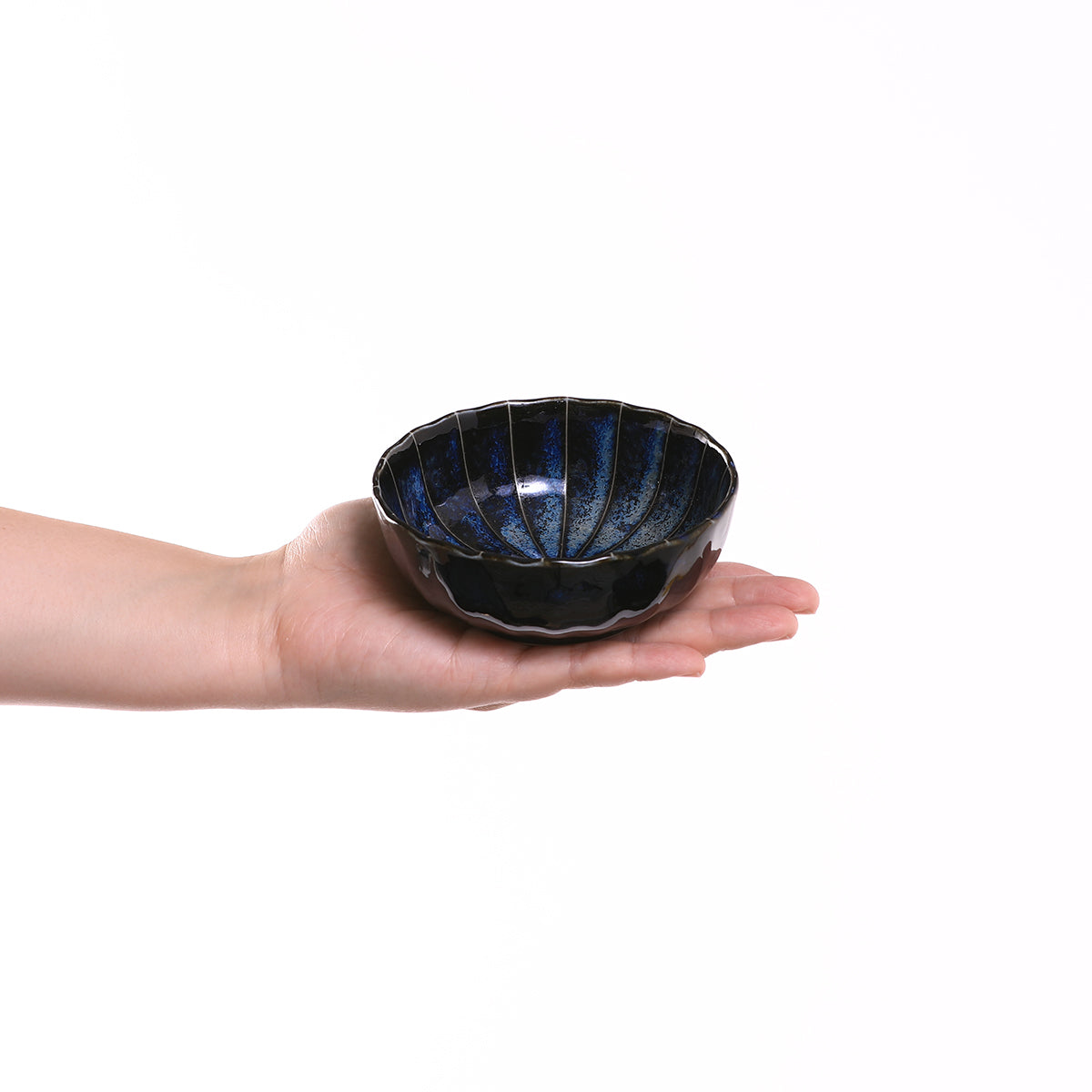 菊十草 35鉢(白/青/緑/黒)