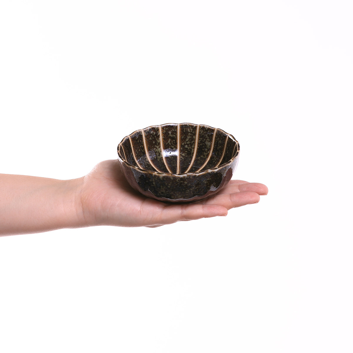 菊十草 35鉢(白/青/緑/黒)