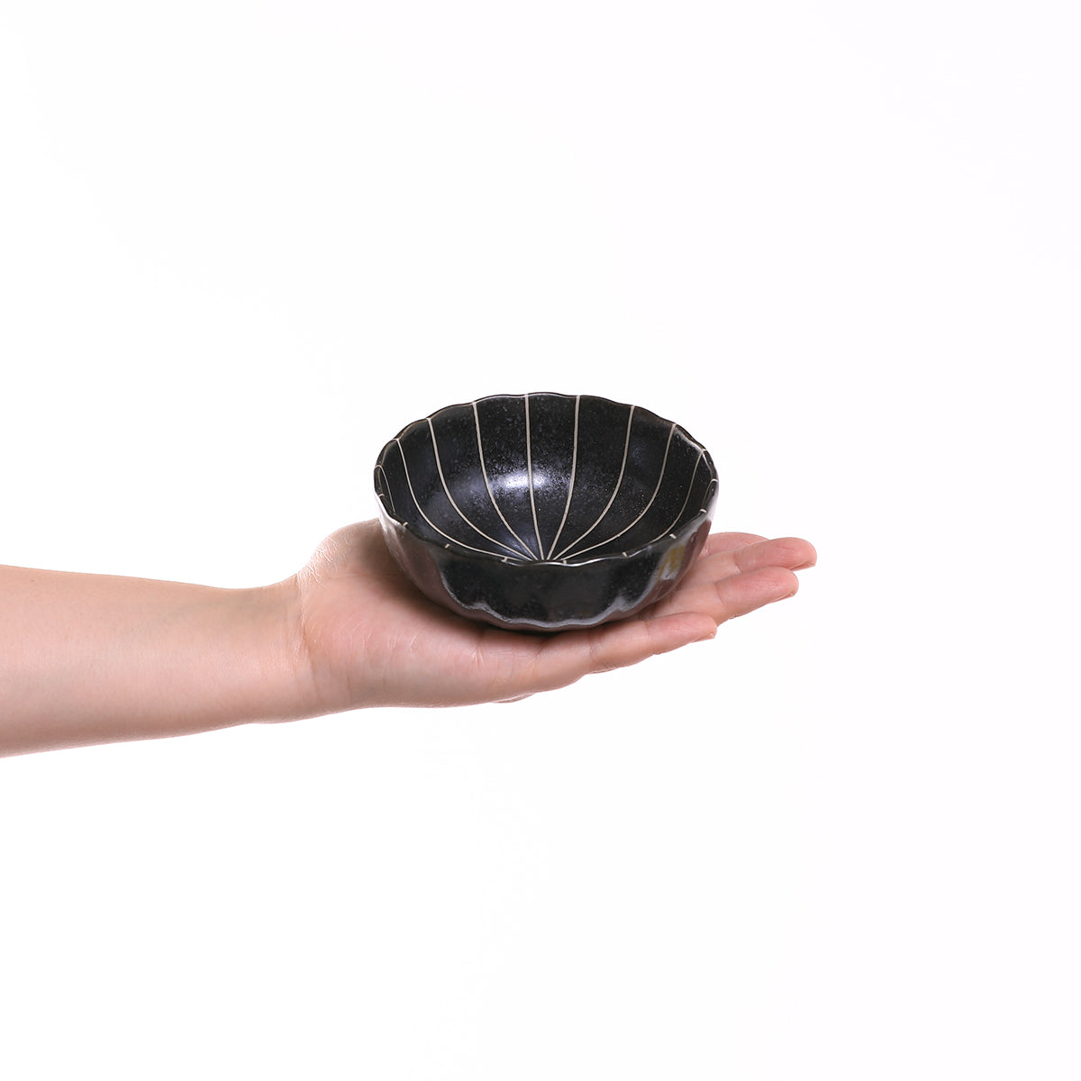 菊十草 35鉢(白/青/緑/黒)