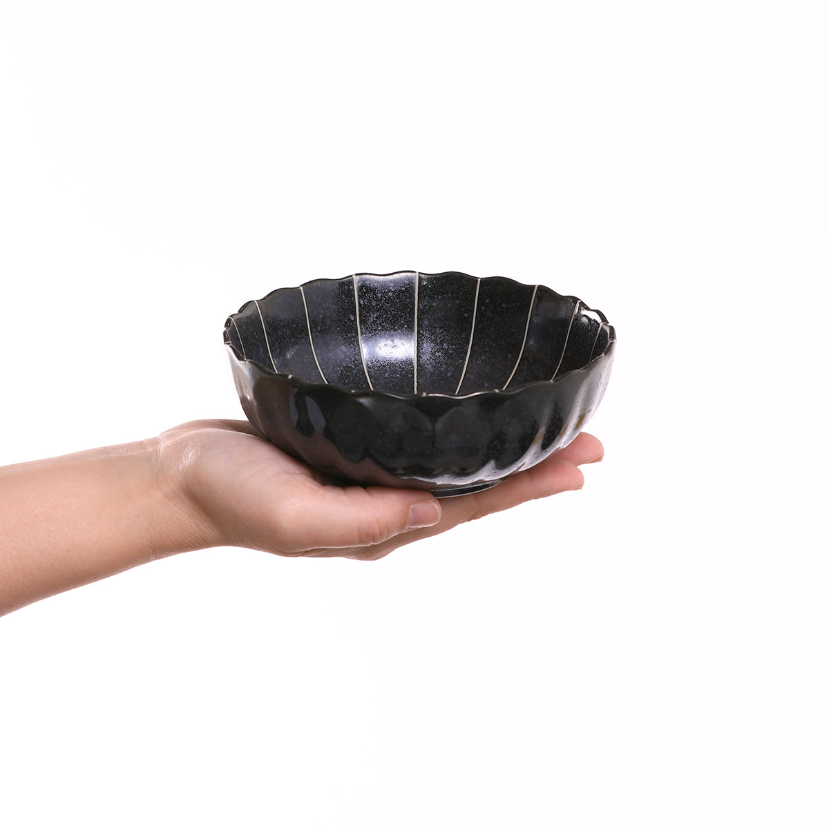 菊十草 45鉢(白/青/緑/黒)