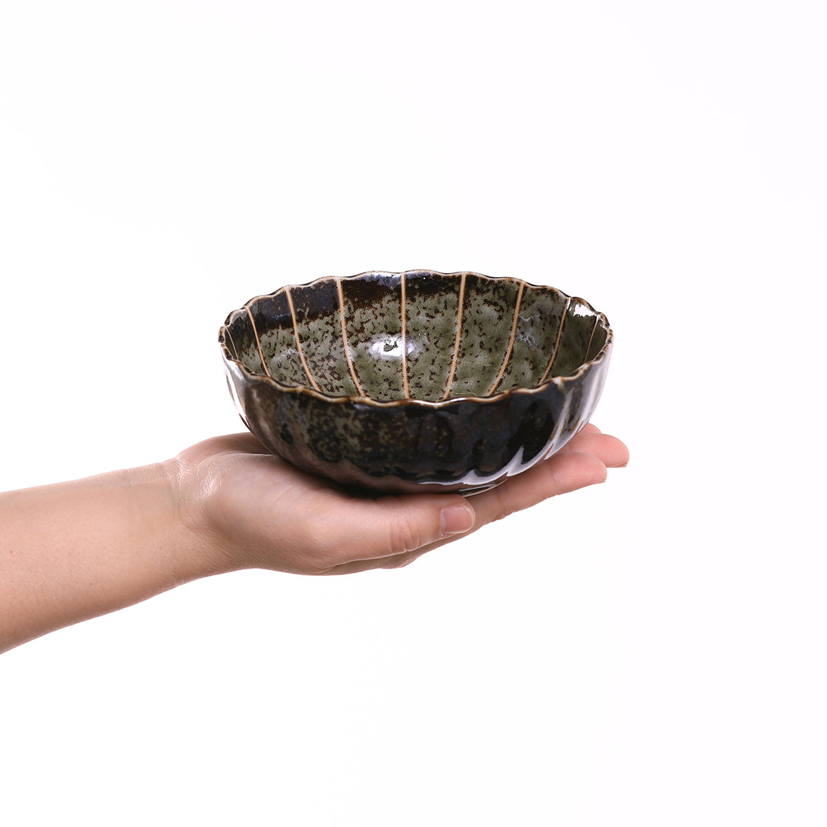 菊十草 45鉢(白/青/緑/黒)