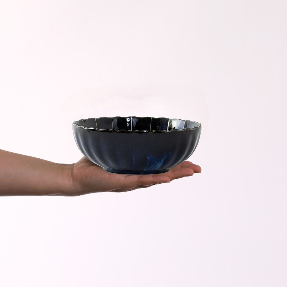 菊十草 55鉢(白/青/緑/黒)