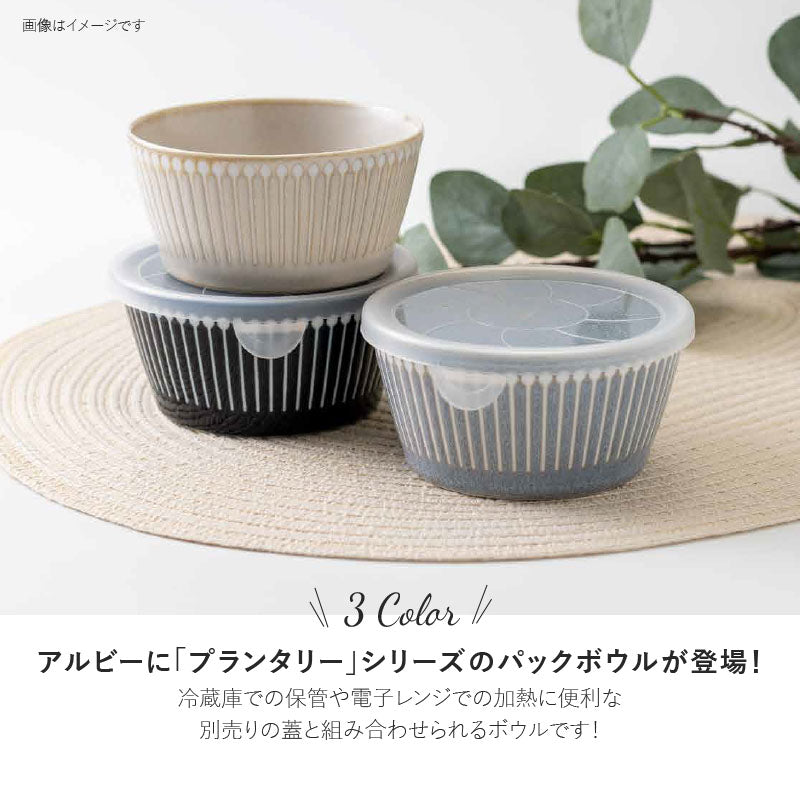 【PLANTAREE-Albee-】105パックボウル
