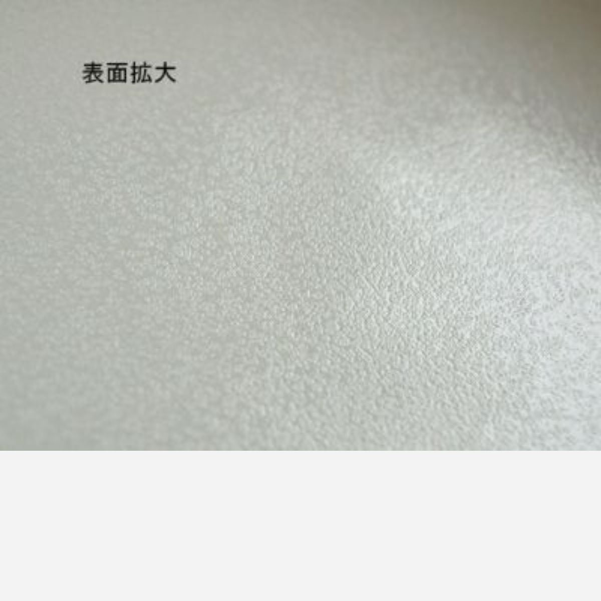 【しのぎ お花】リムプレート18cm