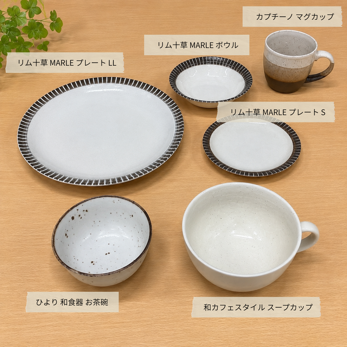 美濃焼 おうちごはん 6点セット
