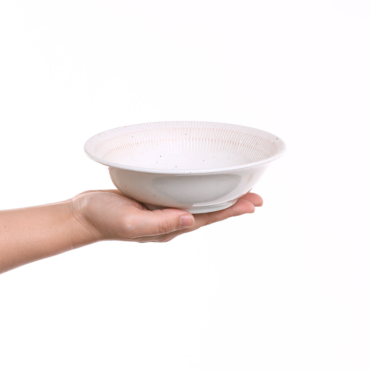 【31パーセントOFF】美濃焼 軽量トチリ プレートボウルセット