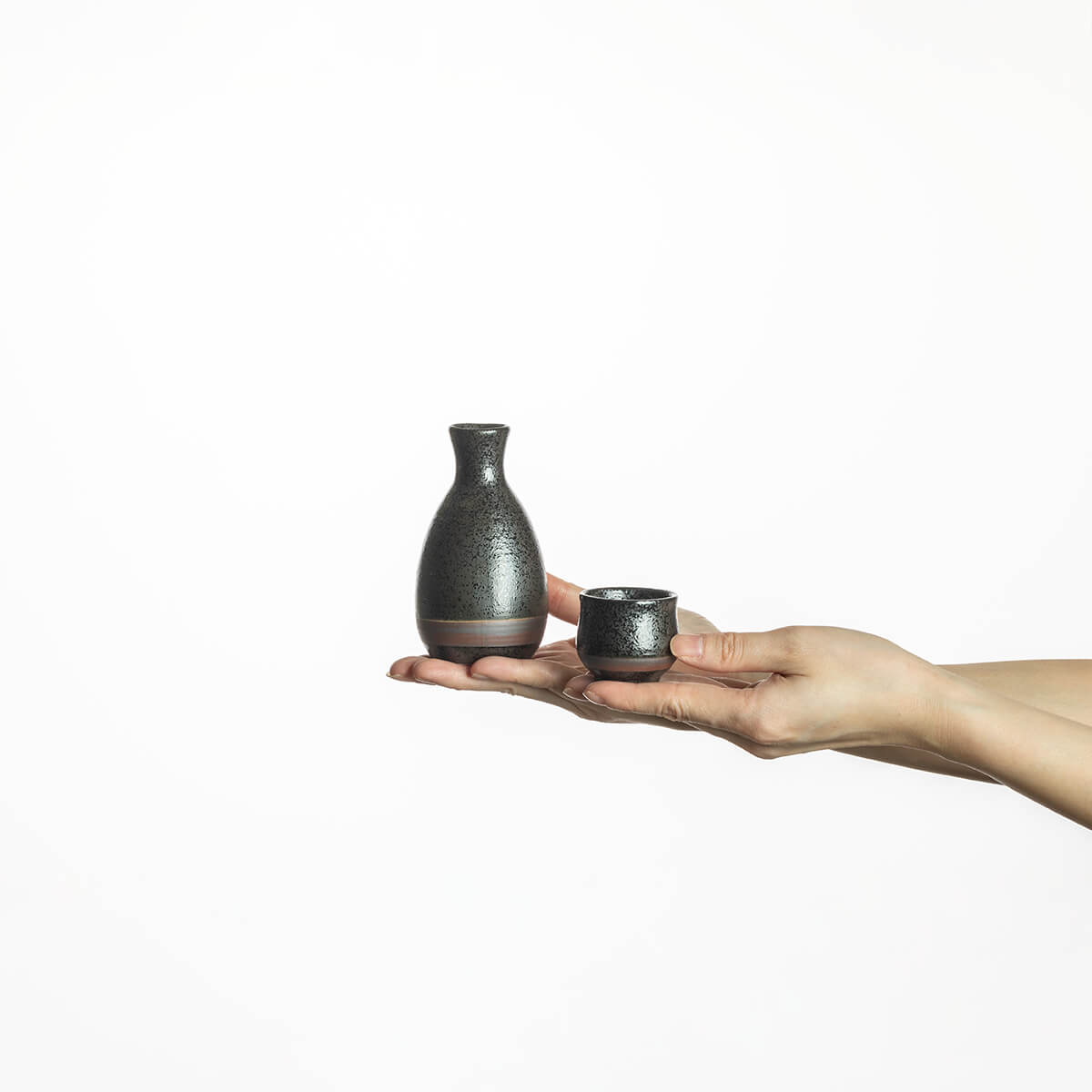 【28%OFF】蔵出し 黒結晶ライン 酒器セット