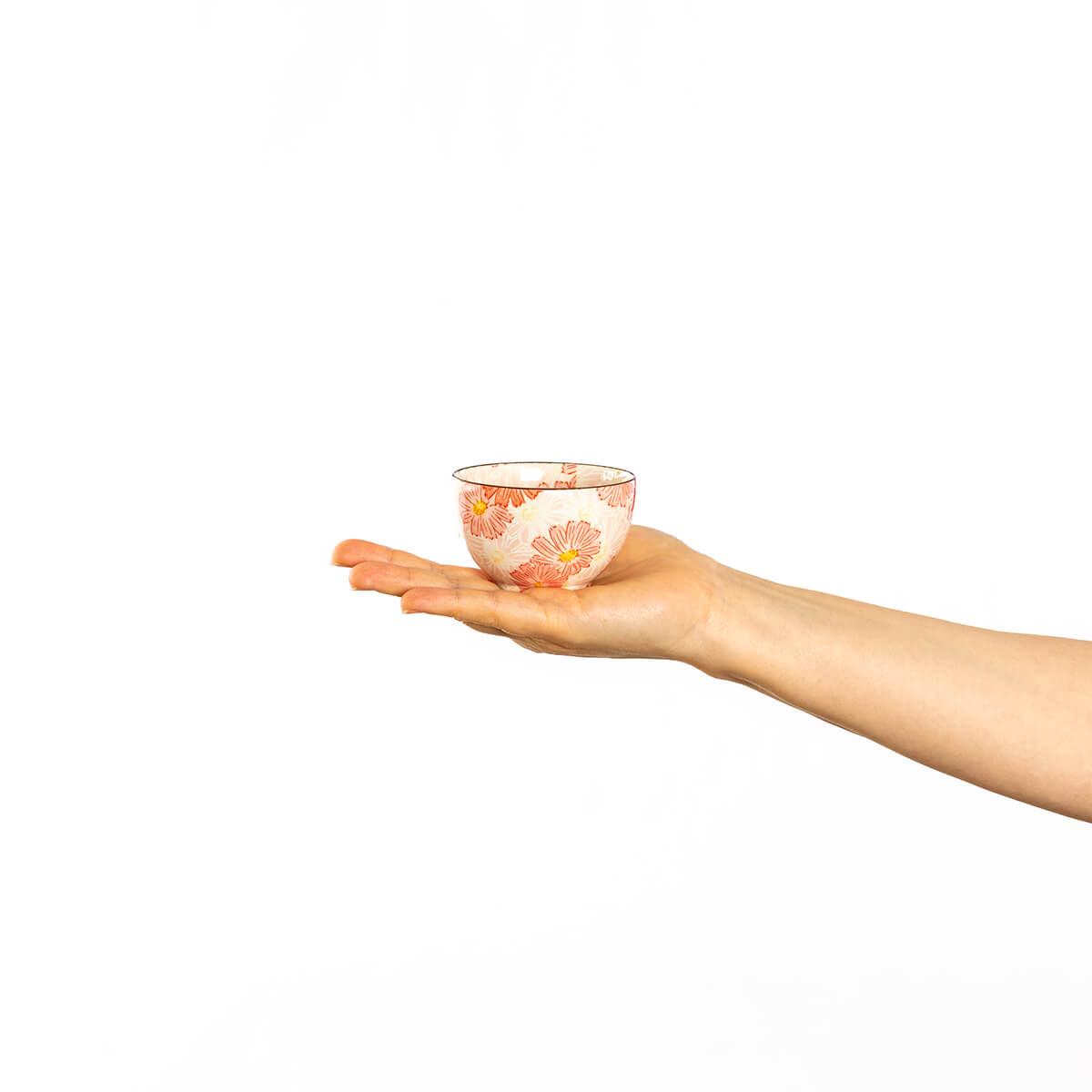 華々 春のお茶会セット