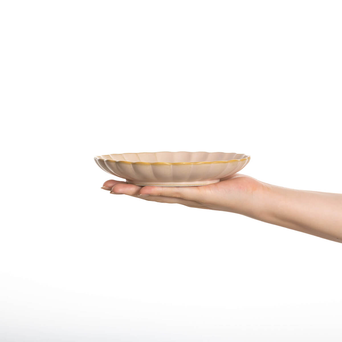 【在庫限り】ひな菊 プレート 4色セット