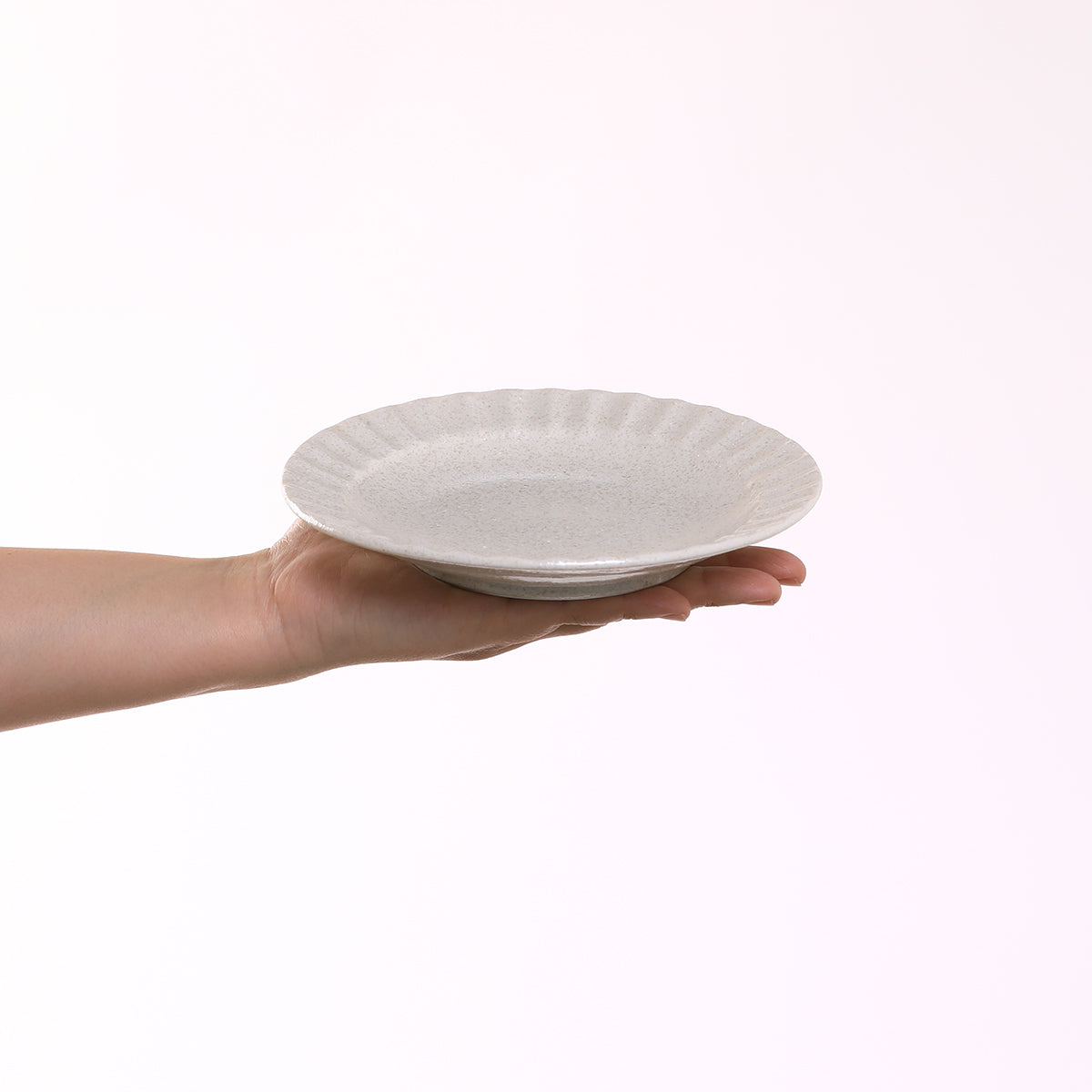白伊賀しのぎ5.0皿