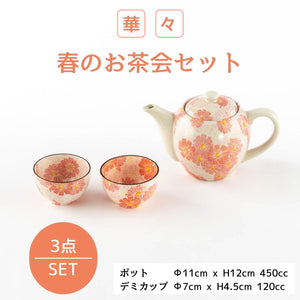 【33％OFF】特価品　華々　春のお茶会セット