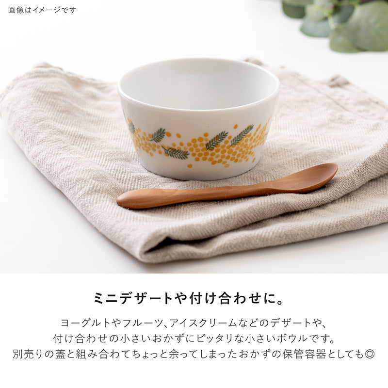 【PLANTAREE-mimosa-】105パックボウル
