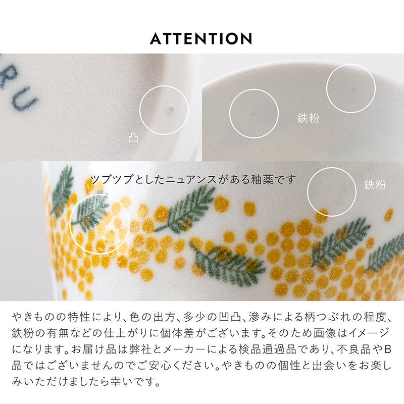 【PLANTAREE-mimosa-】105パックボウル