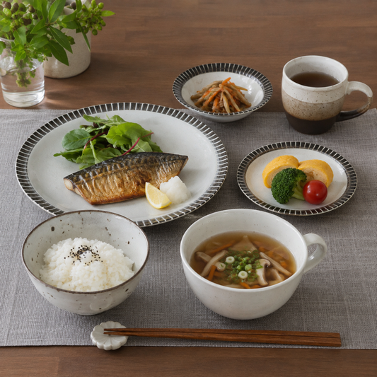 美濃焼 おうちごはん 6点セット